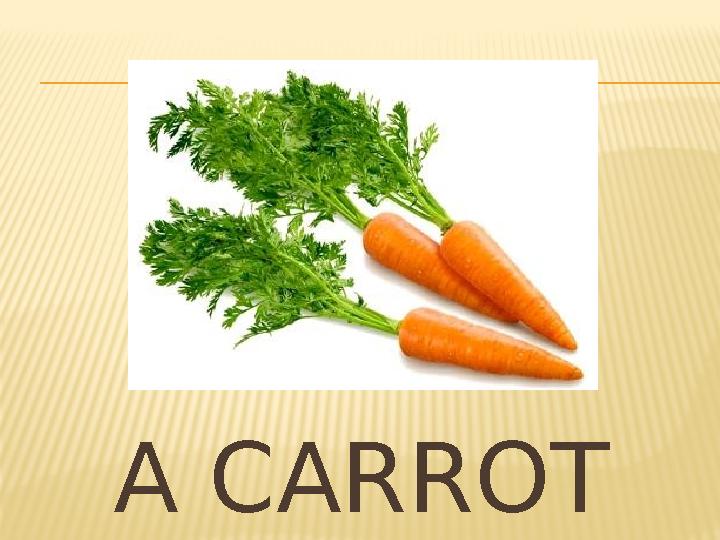 A CARROT