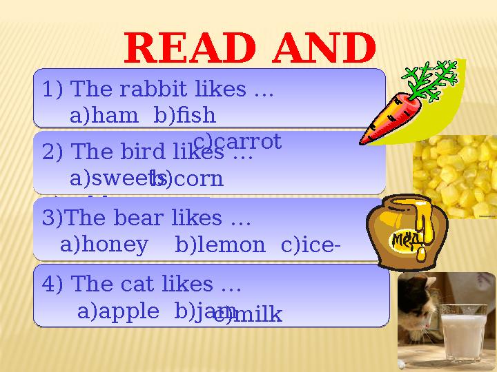 READ AND CHOOSE 1) The rabbit likes ... a)ham b)fish 1) The rabbit likes ... a)ham b)fish2) The bird likes … a)s