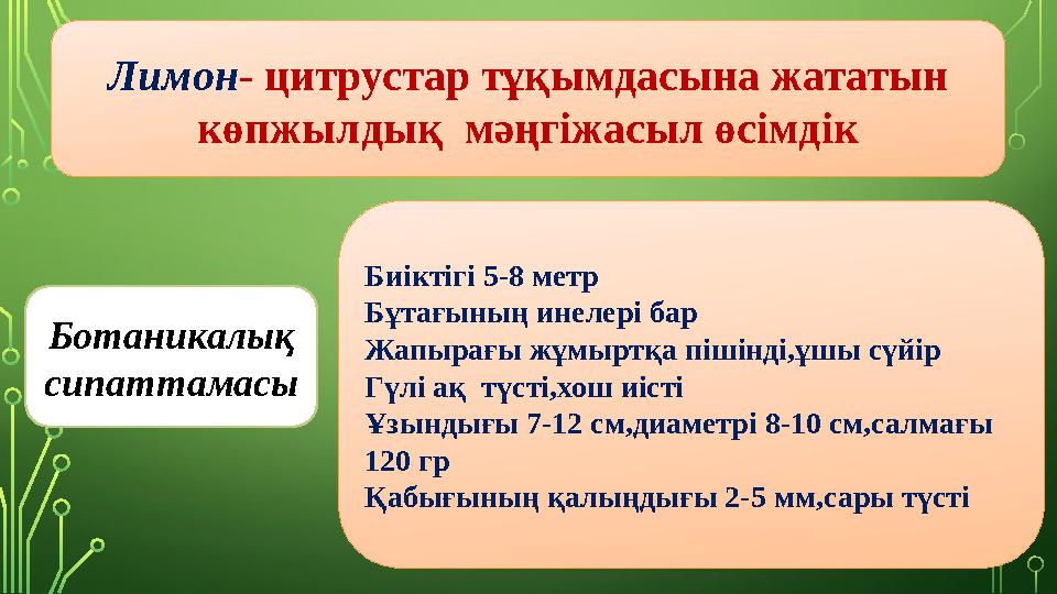 Ботаникалық сипаттамасы Лимон- цитрустар тұқымдасына жататын көпжылдық мәңгіжасыл өсімдік Биіктігі 5-8 метр Бұтағының инелер