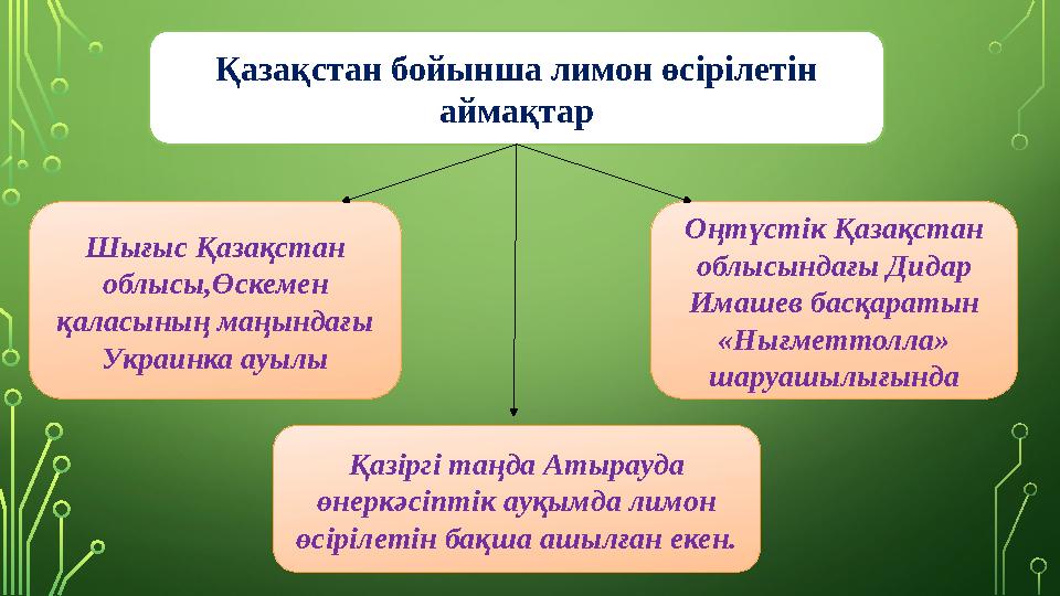 Қазақстан бойынша лимон өсірілетін аймақтар Шығыс Қазақстан облысы,Өскемен қаласының маңындағы Украинка ауылы Қазіргі таңда