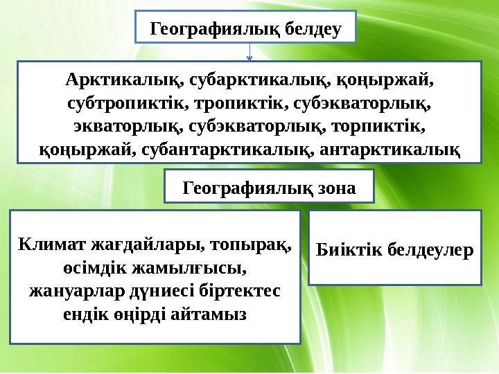 Географиялық белдеу Арктикалық, субарктикалық, қоңыржай, субтропиктік, тропиктік, субэкваторлық, экваторлық, субэкваторлық, то