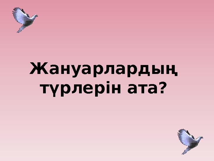 Жануарлардың түрлерін ата?