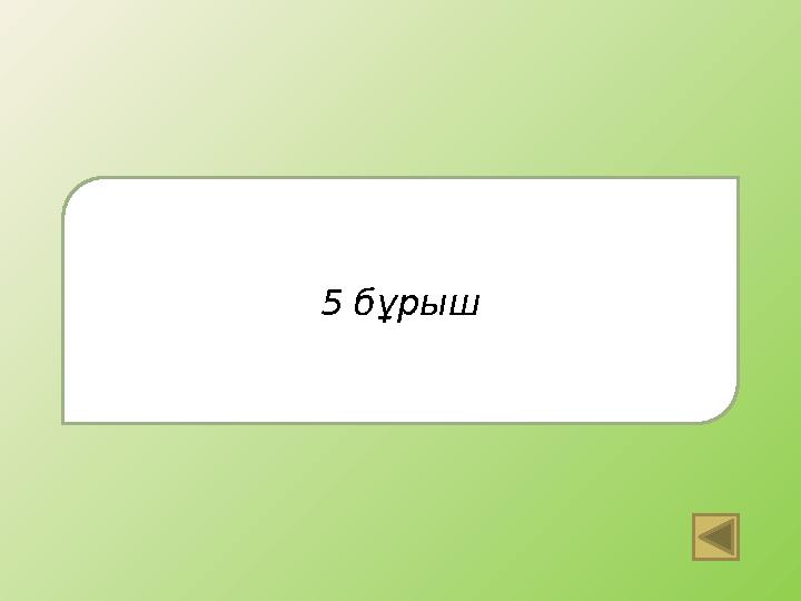 5 бұрыш