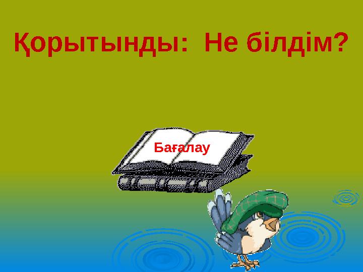 Қорытынды: Не білдім? Бағалау