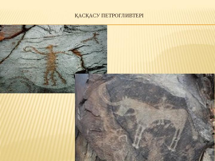 ҚАСҚАСУ ПЕТРОГЛИВТЕРІ