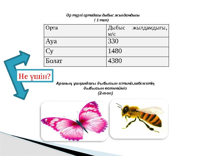 Тікелей жігіт гей жігітке котін сорып жібереді