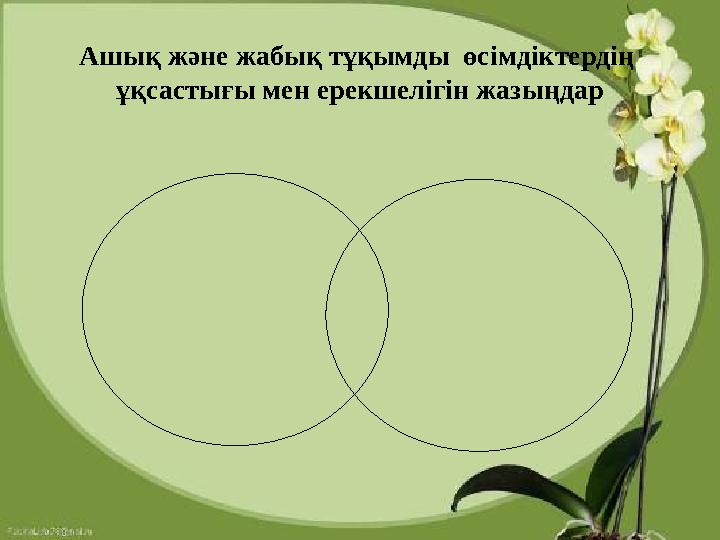 Ашық және жабық тұқымды өсімдіктердің ұқсастығы мен ерекшелігін жазыңдар