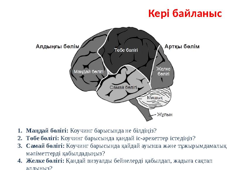 Кері байланыс 1.Маңдай бөлігі: Коучинг барысында не білдіңіз? 2.Төбе бөлігі: Коучинг барысында қандай іс-әрекеттер істедіңіз? 3.