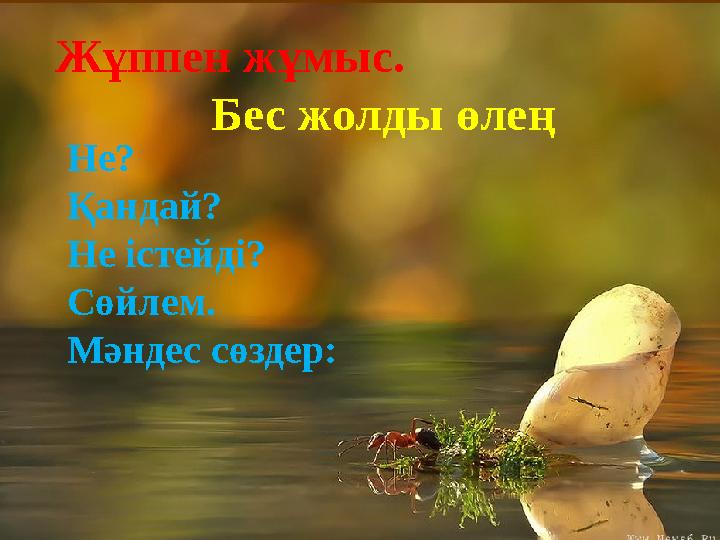 Жұппен жұмыс. Бес жолды өлең Не? Қандай? Не істейді? Сөйлем. Мәндес сөздер: