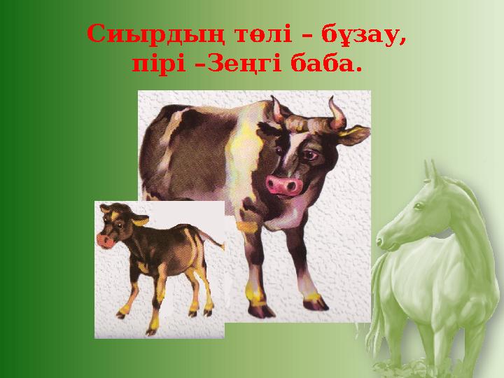 Сиырдың төлі – бұзау, пірі –Зеңгі баба.