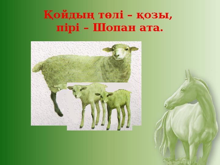 Қойдың төлі – қозы, пірі – Шопан ата.