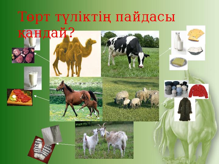 Төрт түліктің пайдасы қандай?