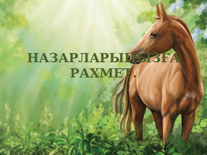 НАЗАРЛАРЫҢЫЗҒА РАХМЕТ.