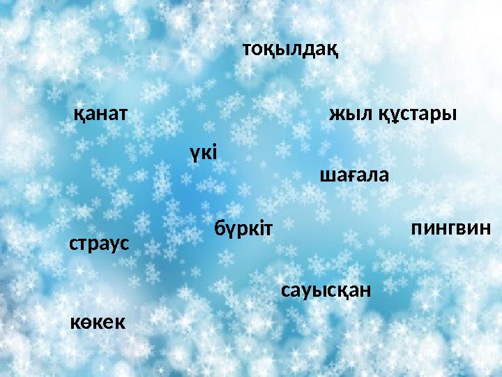 көкек бүркіт шағала қанат тоқылдақ пингвин страус сауысқан үкі жыл құстары