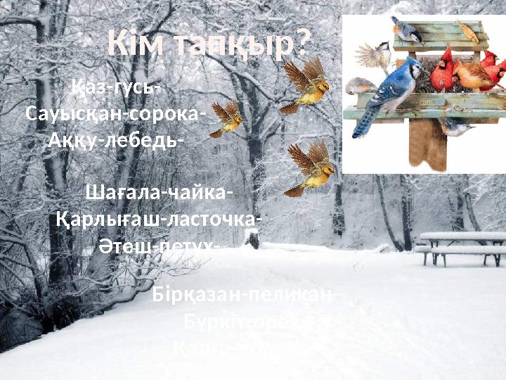 Кім тапқыр? Қаз-гусь- Сауысқан-сорока- Аққу-лебедь- Шағала-чайка- Қарлығаш-ласточка- Әтеш-петух- Бірқазан-пеликан- Бүркіт-орел-
