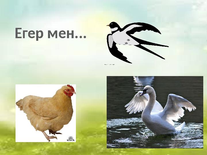 Егер мен...