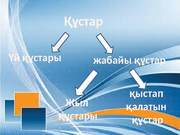 Құстар Үй құстары жабайы құстар Жыл құстары қыстап қалатын құстар