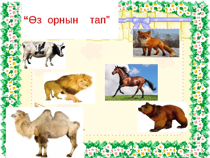 “Өз орнын тап”