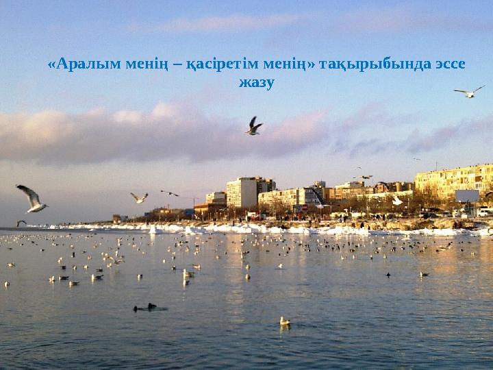 «Аралым менің – қасіретім менің» тақырыбында эссе жазу