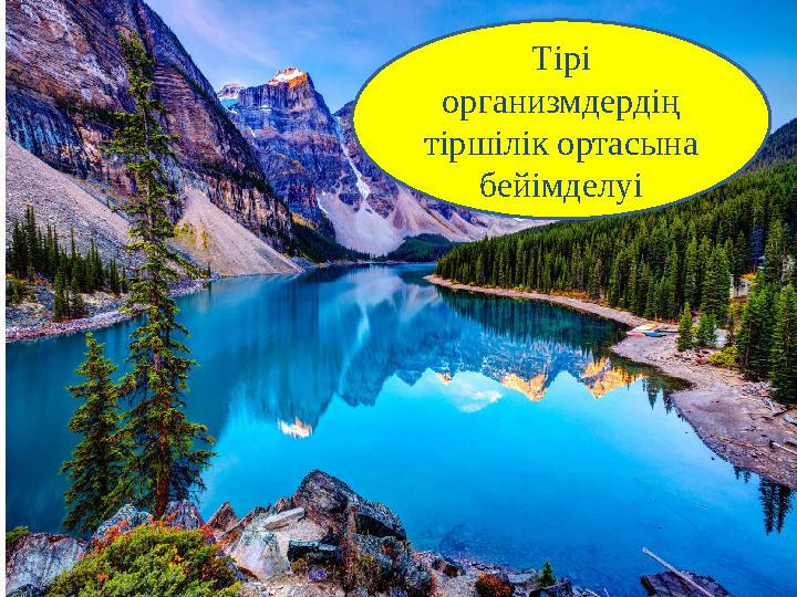 Тірі организмдердің тіршілік ортасына бейімделуі