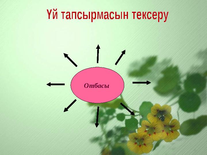 Отбасы