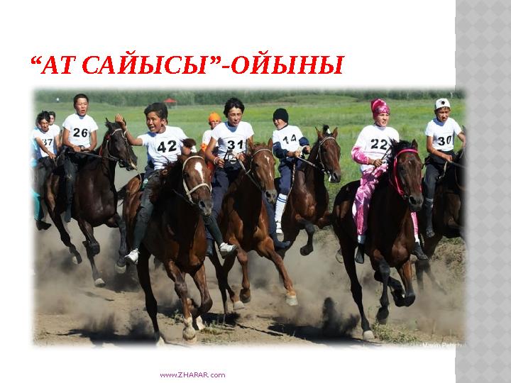 www.ZHARAR.com “АТ САЙЫСЫ”-ОЙЫНЫ
