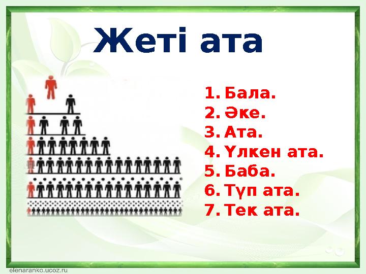 Жеті ата 1. Бала. 2. Әке. 3. Ата. 4. Үлкен ата. 5. Баба. 6. Түп ата. 7. Тек ата.