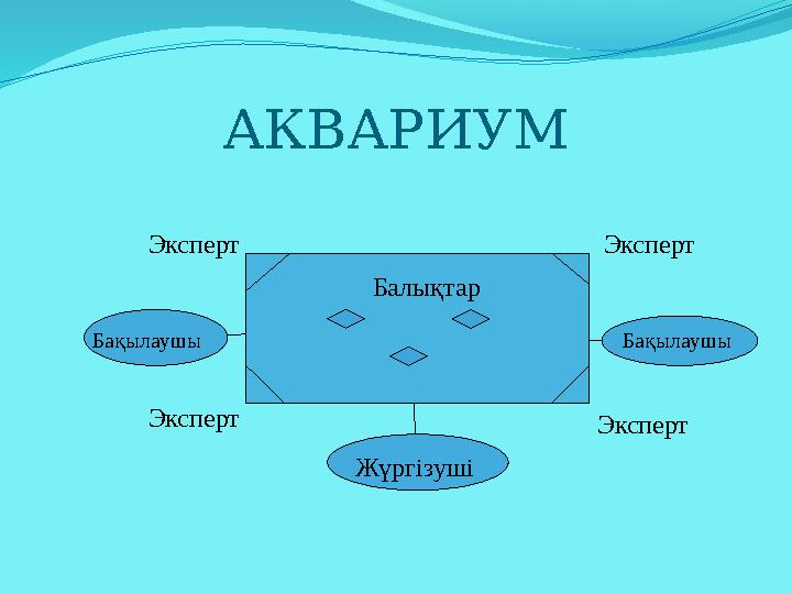 АКВАРИУМ Балықтар Жүргізуші Бақылаушы Бақылаушы Эксперт Эксперт Эксперт Эксперт