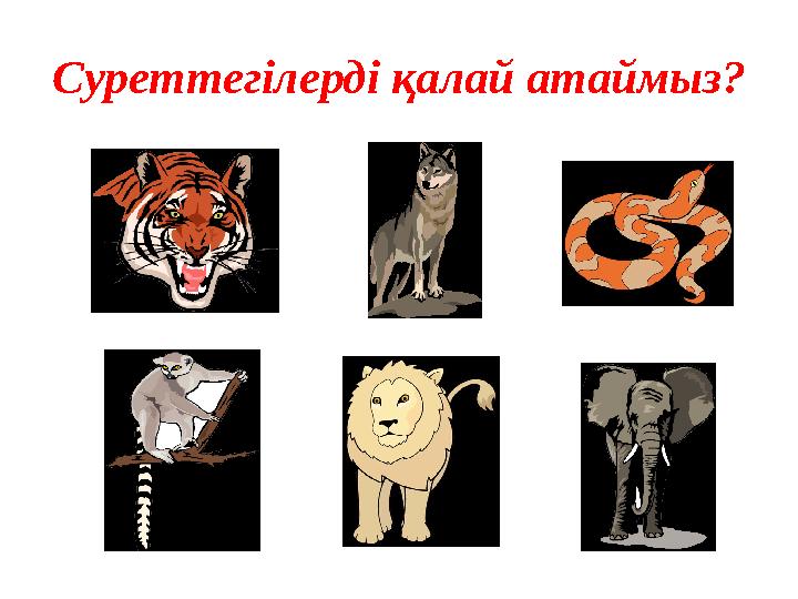 Суреттегілерді қалай атаймыз?