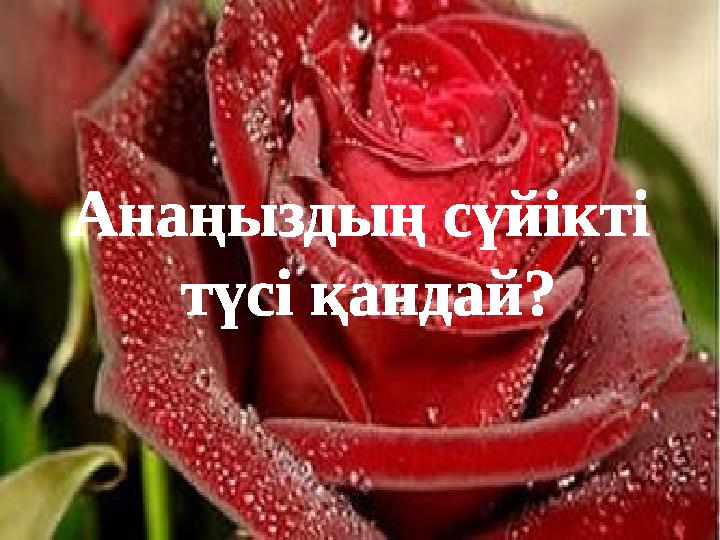 Анаңыздың сүйікті түсі қандай?