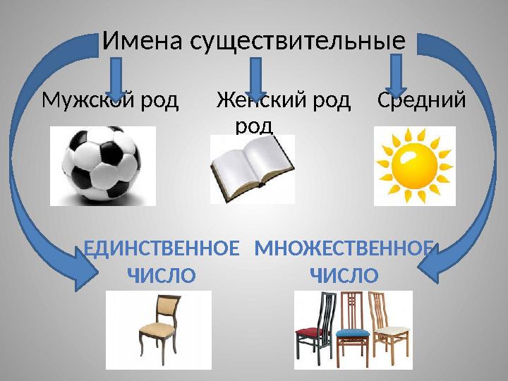 Имена существительные Мужской род Женский род Средний род ЕДИНСТВЕННОЕ ЧИСЛО МНОЖЕСТВЕННОЕ ЧИСЛО