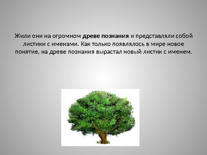 Жили они на огромном древе познания и представляли собой листики с именами. Как только появлялось в мире новое понятие, на д