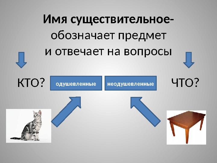 Имя существительное- обозначает предмет и отвечает на вопросы КТО? ЧТО? одушевленные не