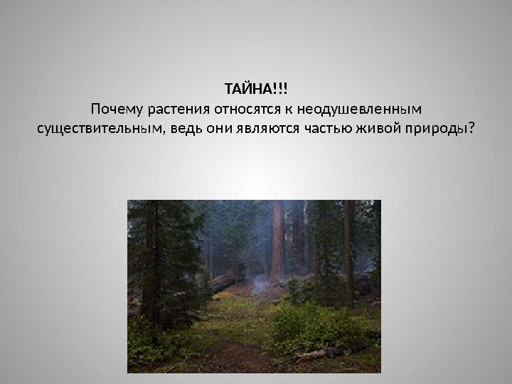 ТАЙНА!!! Почему растения относятся к неодушевленным существительным, ведь они являются частью живой природы?