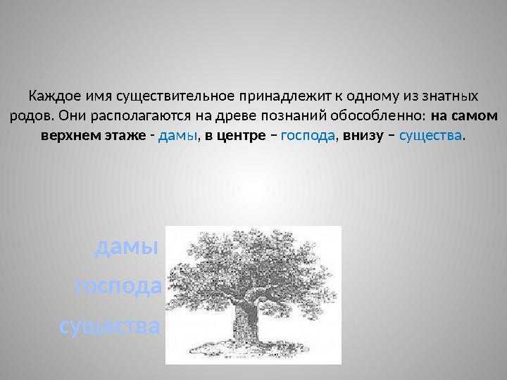 Каждое имя существительное принадлежит к одному из знатных родов. Они располагаются на древе познаний обособленно: на самом в