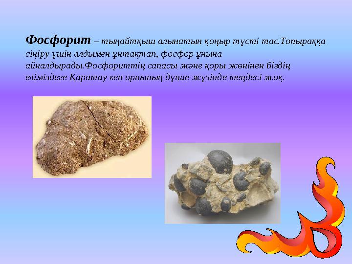 Фосфорит – тыңайтқыш алынатын қоңыр түсті тас.Топыраққа сіңіру үшін алдымен ұнтақтап, фосфор ұнына айналдырады.Фосфориттің сап