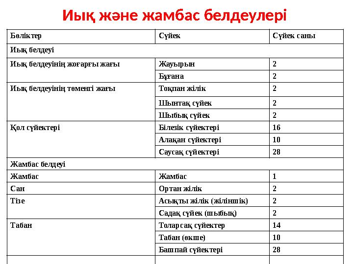 Иық және жамбас белдеулері Бөліктер Сүйек Сүйек саны Иық белдеуі Иық белдеуінің жоғарғы жағы Жауырын 2 Бұғана 2 Иық белде
