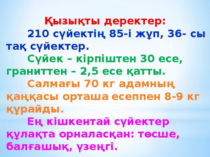 Қызықты деректер: 210 сүйектің 85-і жұп, 36- сы тақ сүйектер. Сүйек – кірпіштен 30 есе, граниттен – 2,5 есе қатты . Салмағы