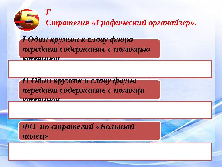 Г Стратегия «Графический органайзер». І Один кружок к слову флора передает содержание с помощью картинок. ІІ Один кружок к сл