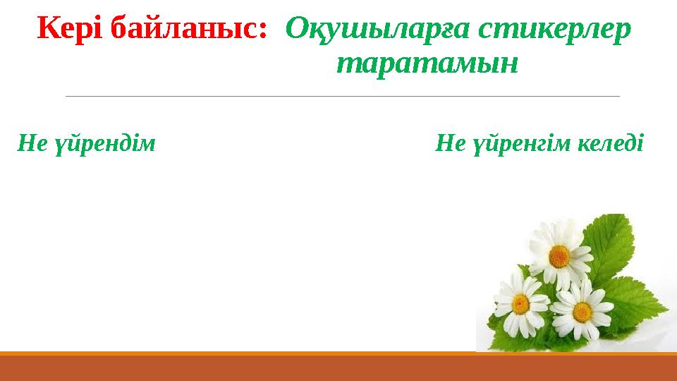 Кері байланыс: Оқушыларға стикерлер таратамын Не үйрендім Не