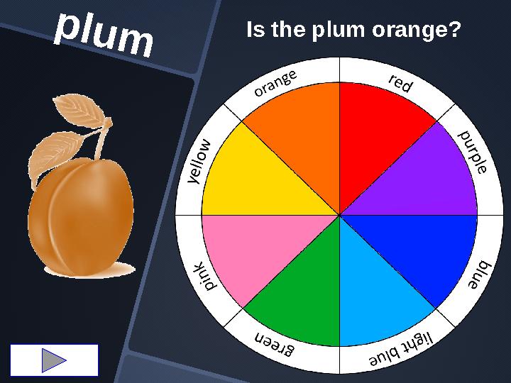 plum Is the plum orange?