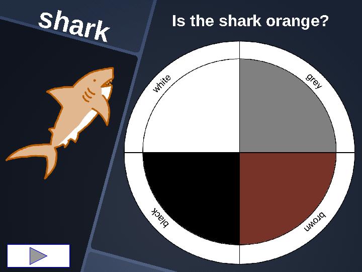shark Is the shark orange?
