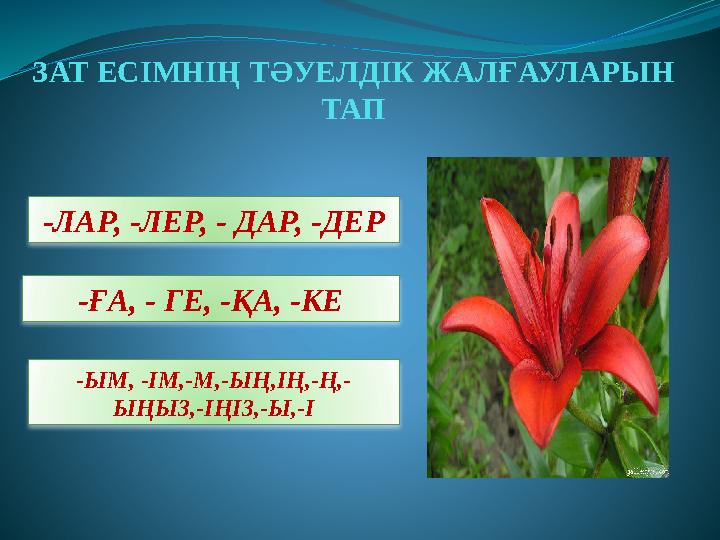 ЗАТ ЕСІМНІҢ ТӘУЕЛДІК ЖАЛҒАУЛАРЫН ТАП -ЛАР, -ЛЕР, - ДАР, -ДЕР -ҒА, - ГЕ, -ҚА, -КЕ -ЫМ, -ІМ,-М,-ЫҢ,ІҢ,-Ң,- ЫҢЫЗ,-ІҢІЗ,-Ы,-І