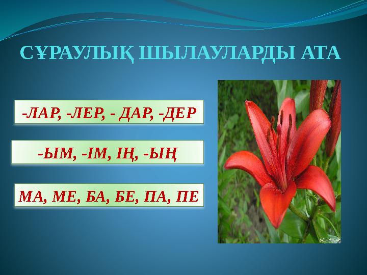 СҰРАУЛЫҚ ШЫЛАУЛАРДЫ АТА -ЛАР, -ЛЕР, - ДАР, -ДЕР -ЫМ, -ІМ, ІҢ, -ЫҢ МА, МЕ, БА, БЕ, ПА, ПЕ