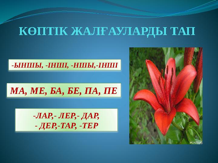 КӨПТІК ЖАЛҒАУЛАРДЫ ТАП -ЫНШЫ, -ІНШІ, -НШЫ,-ІНШІ МА, МЕ, БА, БЕ, ПА, ПЕ -ЛАР,- ЛЕР,- ДАР, - ДЕР,-ТАР, -ТЕР