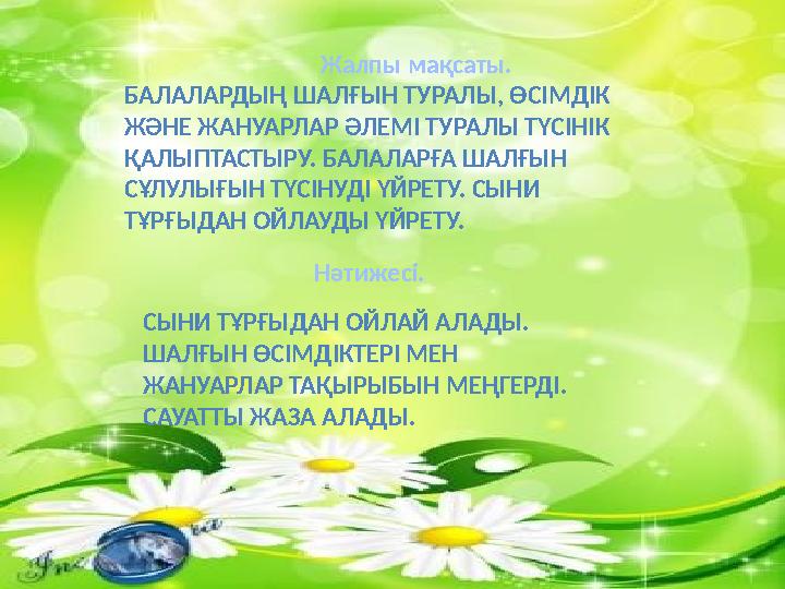 Желідегі дефлорация порно видео