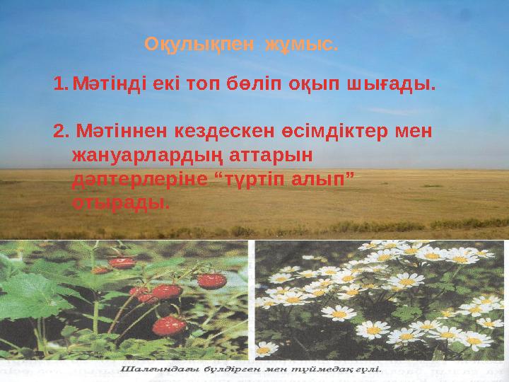 Оқулықпен жұмыс. 1.Мәтінді екі топ бөліп оқып шығады. 2. Мәтіннен кездескен өсімдіктер мен жануарлардың аттарын дәптерлері