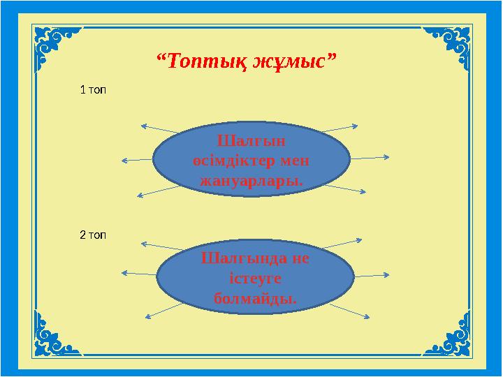 Шалғын өсімдіктер мен жануарлары. “Топтық жұмыс” Шалғында не істеуге болмайды. 1 топ 2 топ