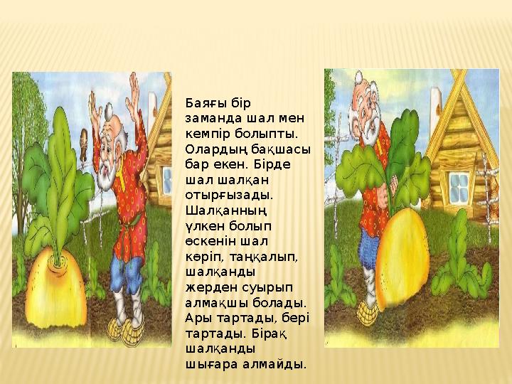 Баяғы бір заманда шал мен кемпір болыпты. Олардың бақшасы бар екен. Бірде шал шалқан отырғызады. Шалқанның үлкен болып