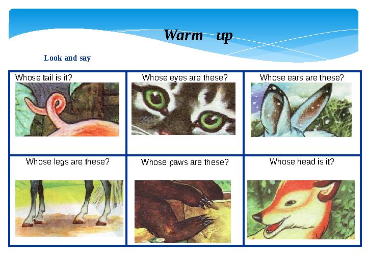 Look and say Whose tail is it? Whose eyes are these? Whose ears are these? Whose legs are these? Whose head is it? Whose paws